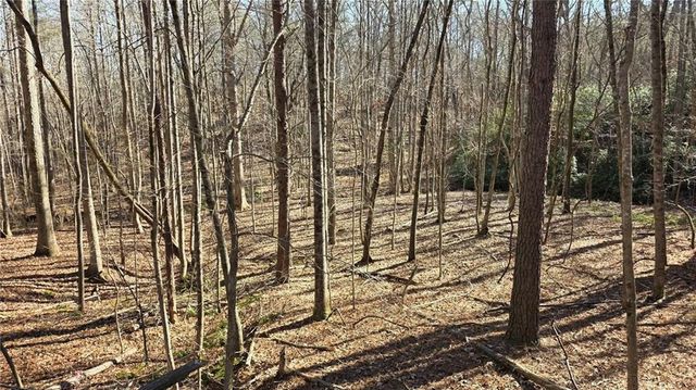 22 Vineyard Road, Dallas, GA 30132