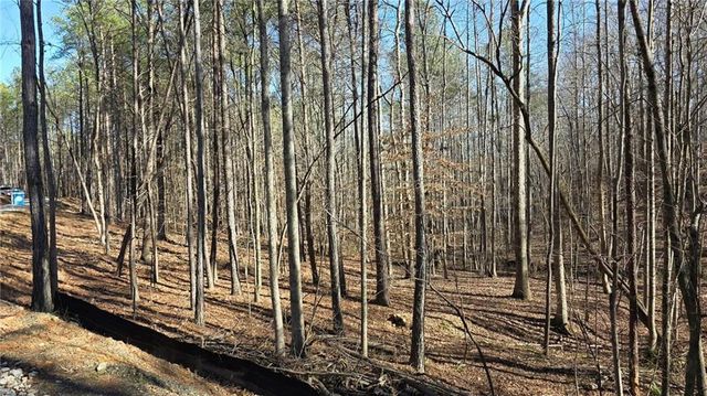 22 Vineyard Road, Dallas, GA 30132