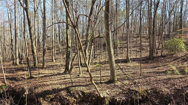 22 Vineyard Road, Dallas, GA 30132