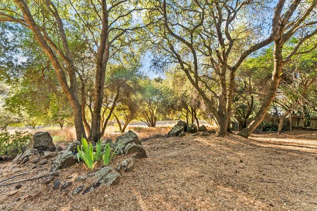 2440 Sandpiper Way, Cameron Park, CA 95682