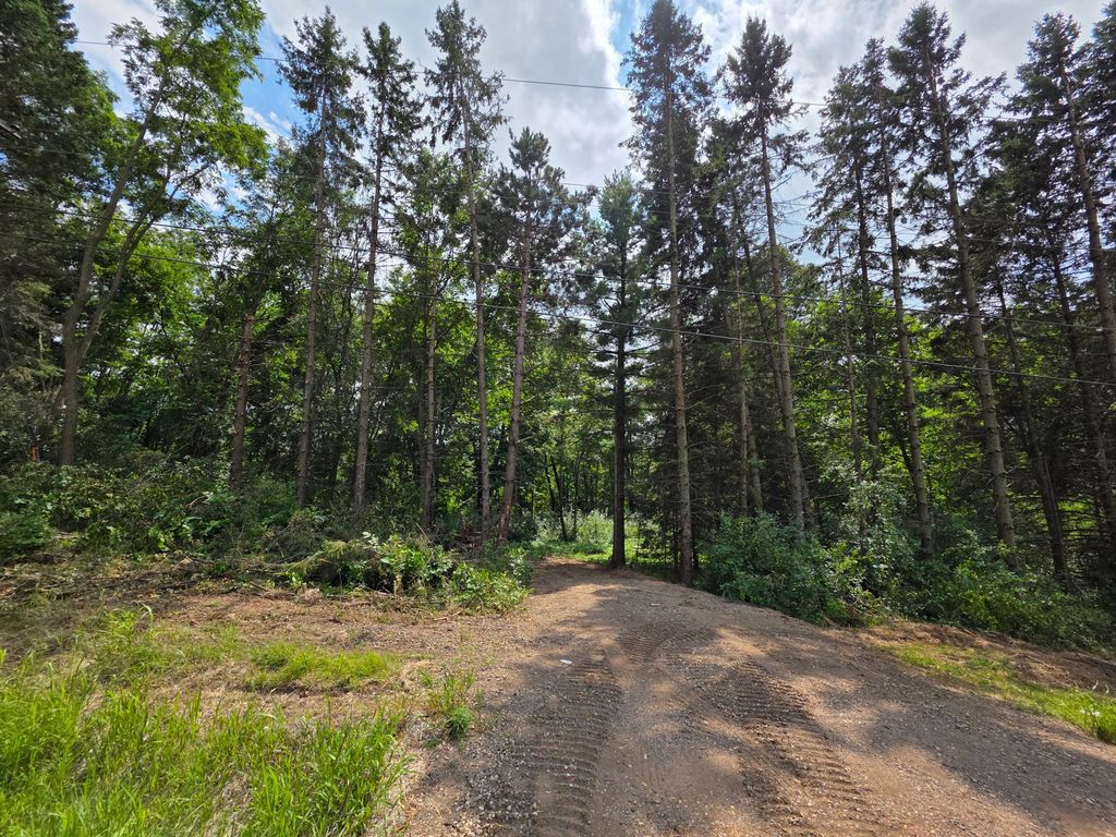 14xxx Dellwood Road N, Stillwater, MN 55082 — photo 4