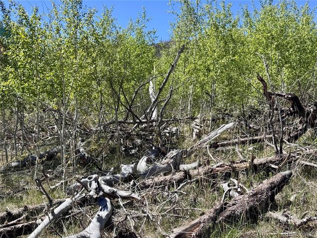 Lot 1005 Foy Place, Fort Garland, CO 81133