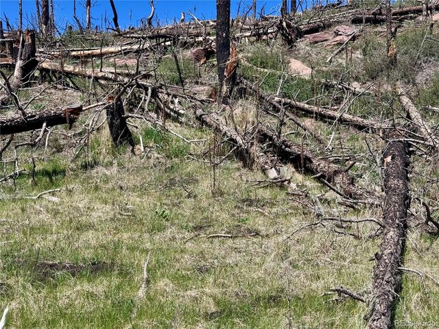 Lot 1005 Foy Place, Fort Garland, CO 81133