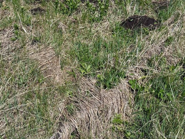 Lot 1005 Foy Place, Fort Garland, CO 81133