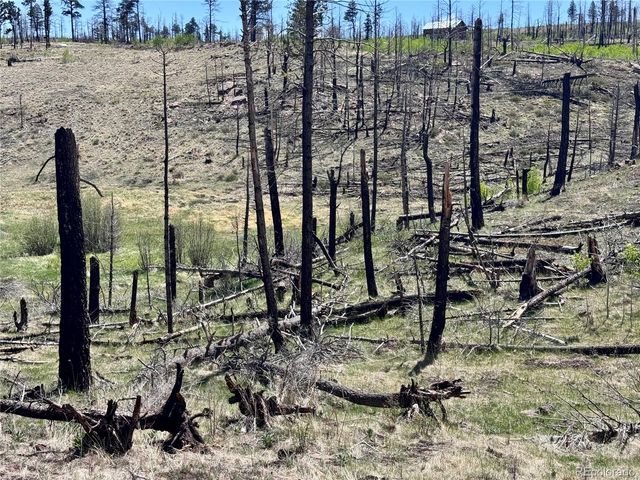 Lot 1005 Foy Place, Fort Garland, CO 81133