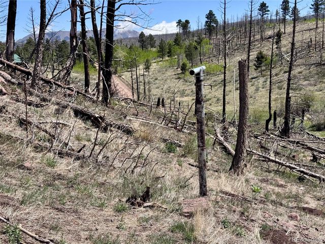 Lot 1005 Foy Place, Fort Garland, CO 81133