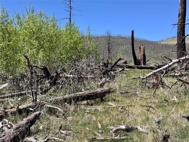 Lot 1005 Foy Place, Fort Garland, CO 81133