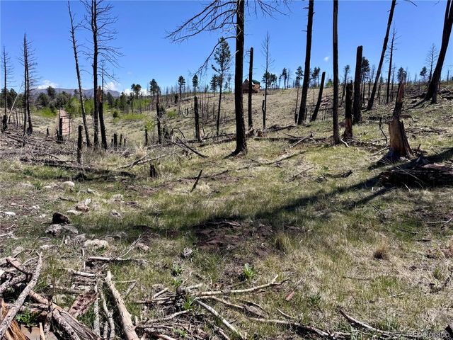 Lot 1005 Foy Place, Fort Garland, CO 81133