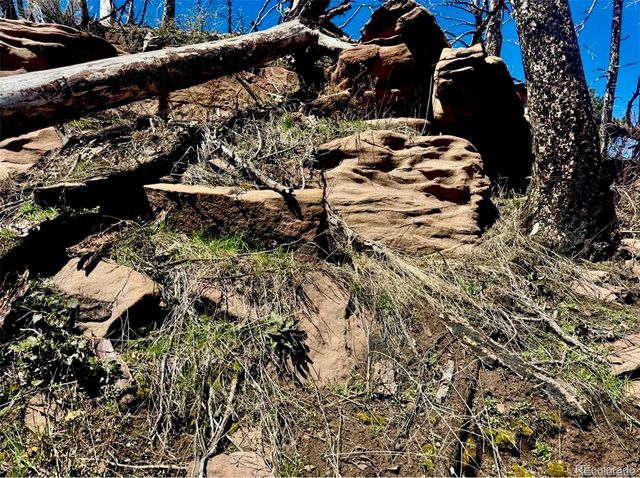 Lot 1005 Foy Place, Fort Garland, CO 81133