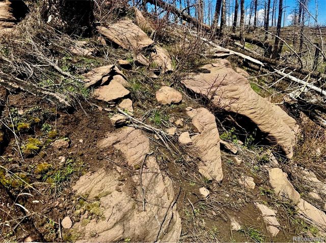 Lot 1005 Foy Place, Fort Garland, CO 81133