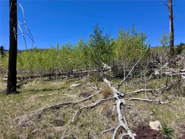 Lot 1005 Foy Place, Fort Garland, CO 81133
