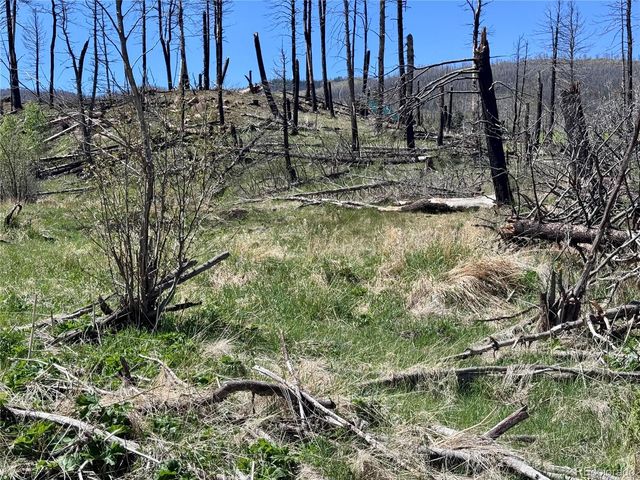 Lot 1005 Foy Place, Fort Garland, CO 81133