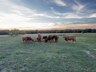 4081 FM 2736 D, Campbell, TX 75422