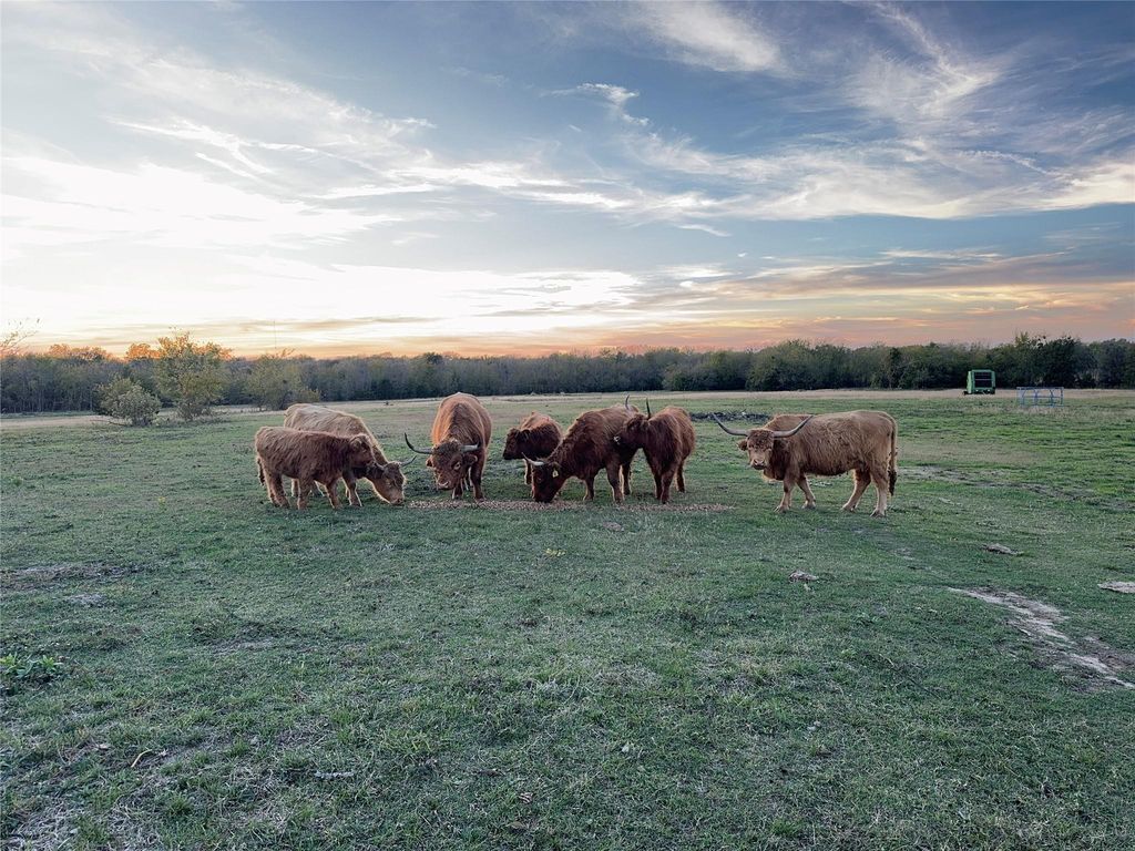 4081 FM 2736 D, Campbell, TX 75422