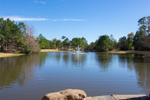 46 Lake Voyageur Drive, Spring, TX 77389