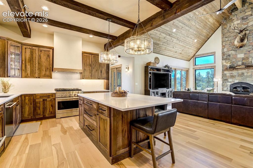 39858 Highway 24, Lake George, CO 80827 — photo 4
