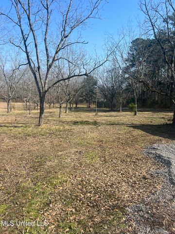 110 Trickhambridge Road, Brandon, MS 39042