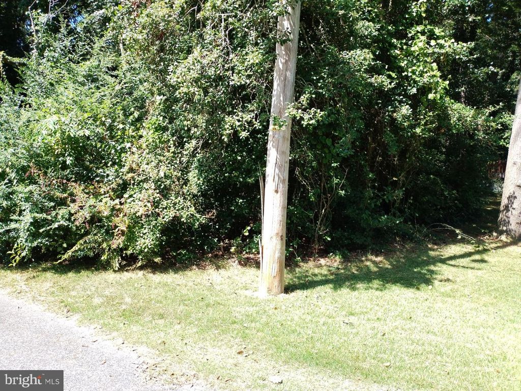 144 ALLEN AVE, Laurel, DE 19956