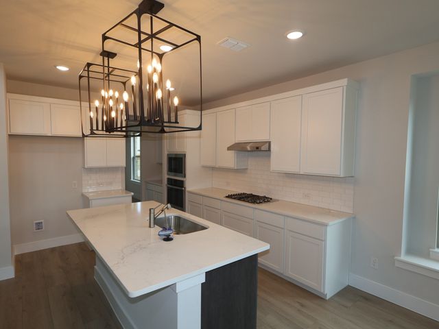 1424 Vista Run Lane, Oak Point, TX 75068