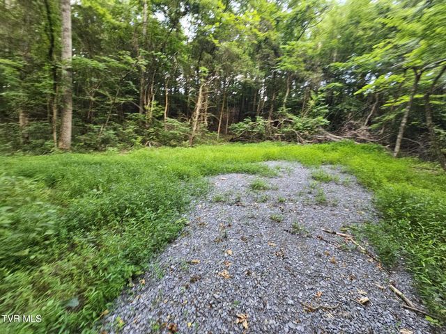 2264 Devault Bridge Road, Piney Flats, TN 37686