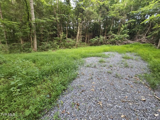 2264 Devault Bridge Road, Piney Flats, TN 37686