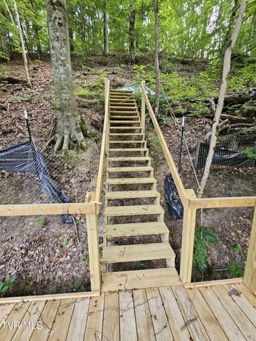 2264 Devault Bridge Road, Piney Flats, TN 37686