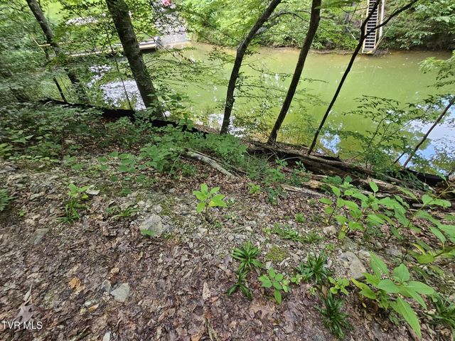 2264 Devault Bridge Road, Piney Flats, TN 37686