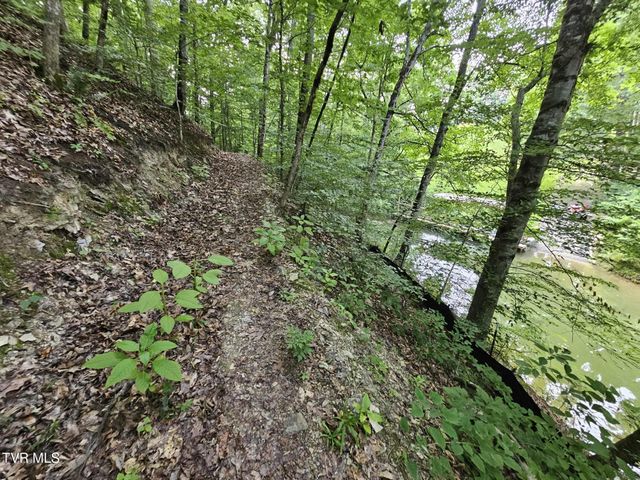 2264 Devault Bridge Road, Piney Flats, TN 37686