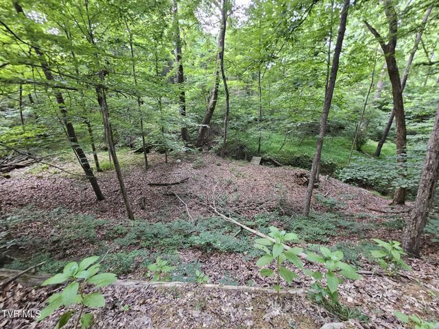 2264 Devault Bridge Road, Piney Flats, TN 37686