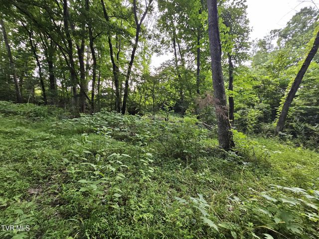 2264 Devault Bridge Road, Piney Flats, TN 37686