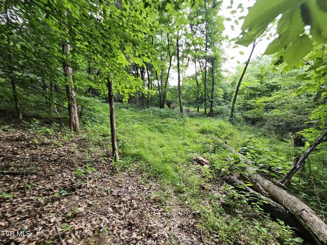 2264 Devault Bridge Road, Piney Flats, TN 37686