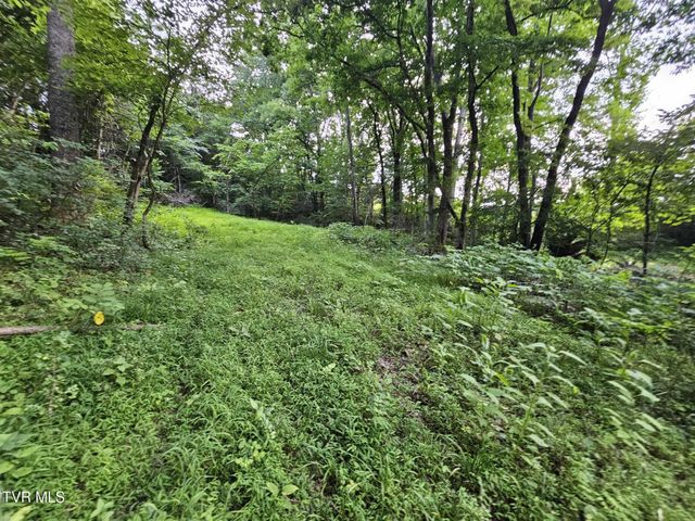 2264 Devault Bridge Road, Piney Flats, TN 37686