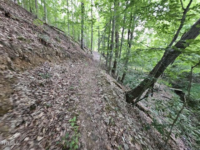 2264 Devault Bridge Road, Piney Flats, TN 37686
