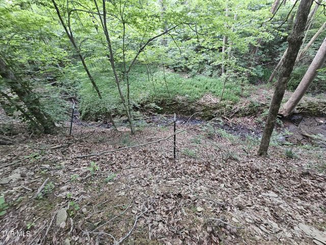 2264 Devault Bridge Road, Piney Flats, TN 37686