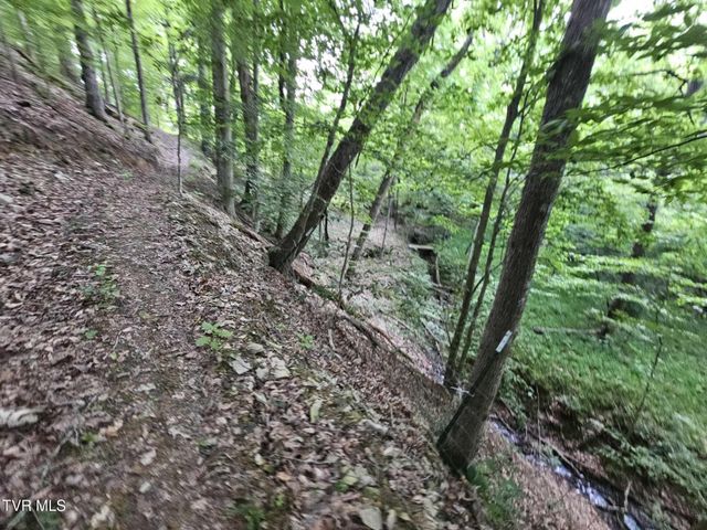 2264 Devault Bridge Road, Piney Flats, TN 37686