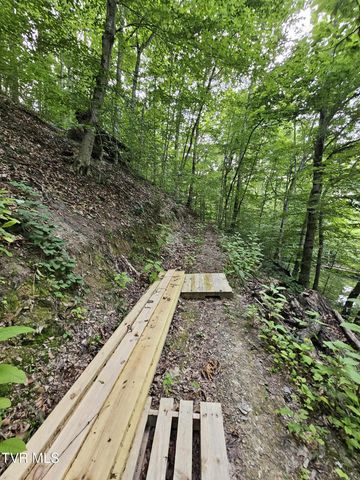 2264 Devault Bridge Road, Piney Flats, TN 37686