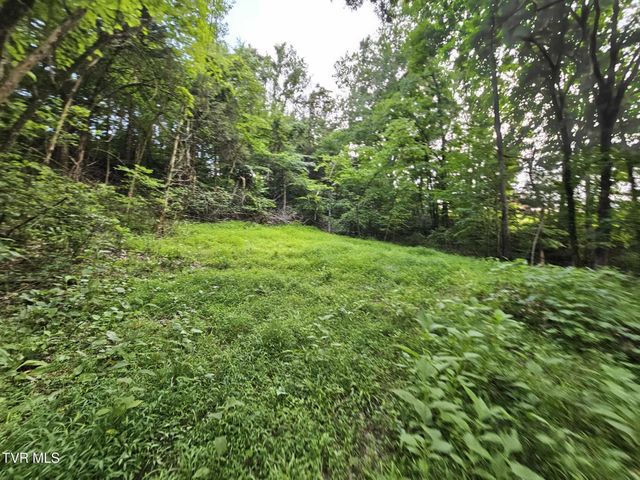 2264 Devault Bridge Road, Piney Flats, TN 37686