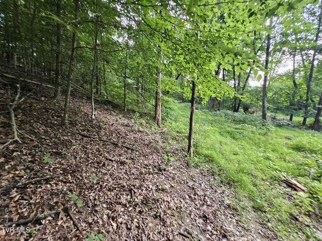 2264 Devault Bridge Road, Piney Flats, TN 37686