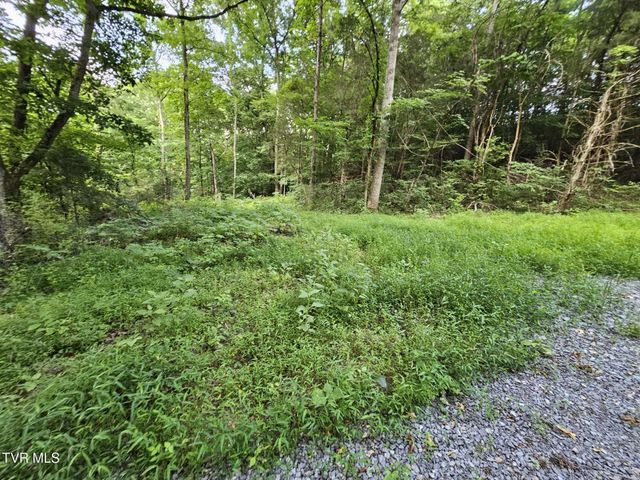 2264 Devault Bridge Road, Piney Flats, TN 37686