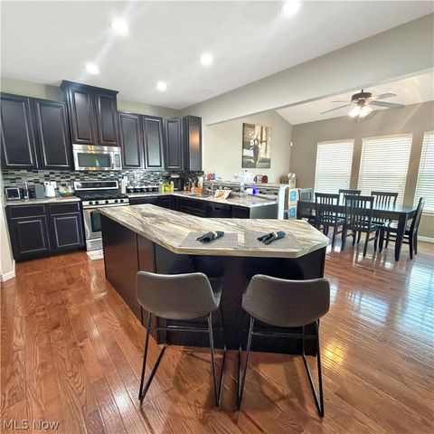 6138 E Meadow Farm Lane, Lorain, OH 44053
