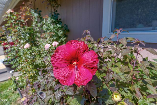 2713 SW Trinity Way, Grants Pass, OR 97527