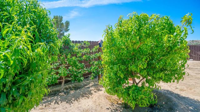 11365 Hess Boulevard, Morongo Valley, CA 92256