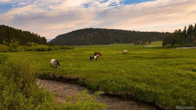 64057 US Highway 285, Bailey, CO 80421