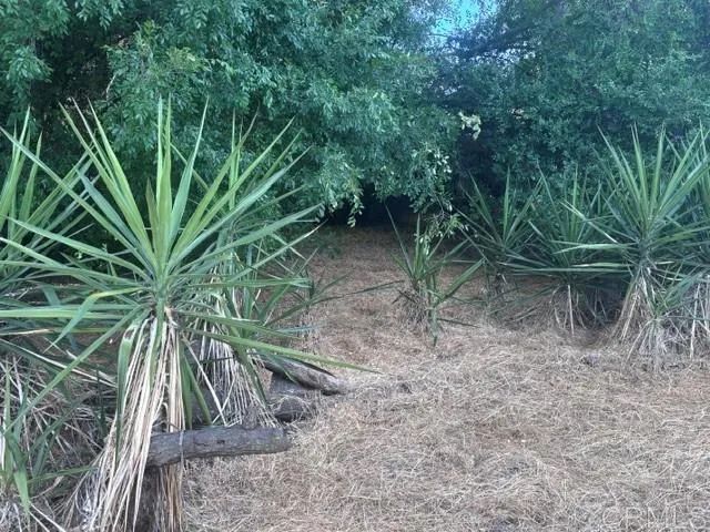 1225 Victor, El Cajon, CA 92021