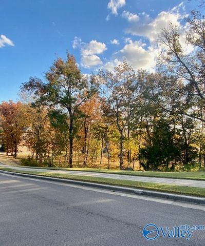 4005 Hawks Way NE, Huntsville, AL 35811