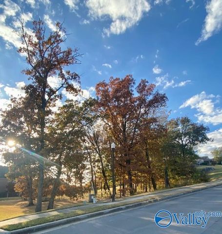 4005 Hawks Way NE, Huntsville, AL 35811