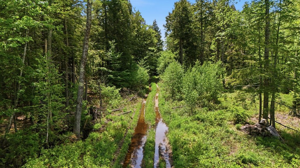 Lot 16C-1 Palmer Road, Buxton, ME 04093 — photo 4