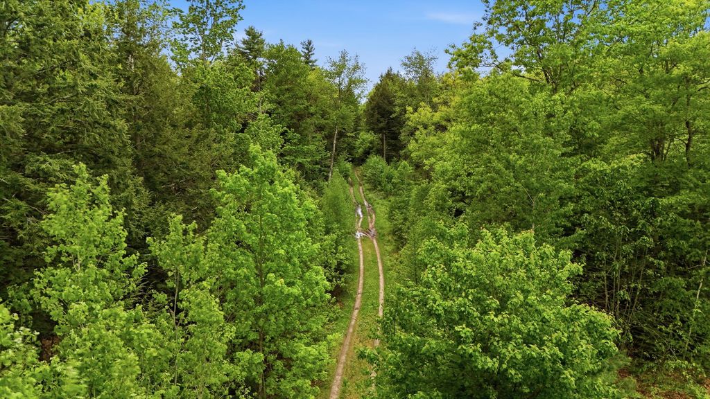 Lot 16C-1 Palmer Road, Buxton, ME 04093 — photo 5