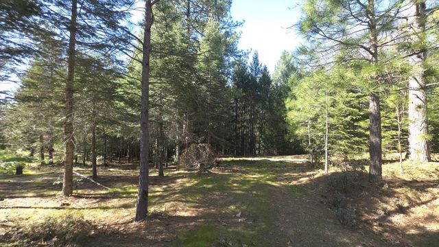 14163 Jokers Wild Ln, Grass Valley, CA 95945