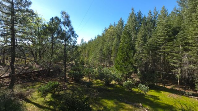 14163 Jokers Wild Ln, Grass Valley, CA 95945